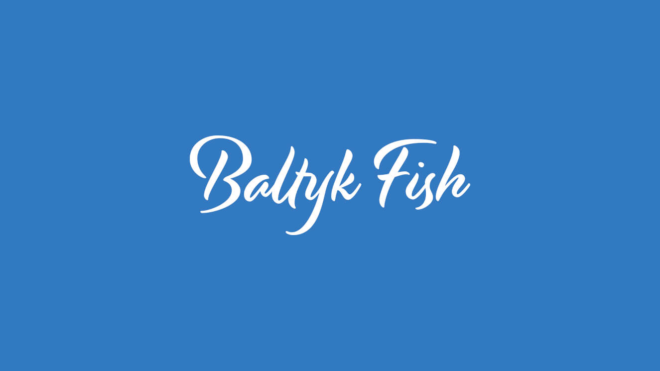 Baltyk Fish Śledzie 1